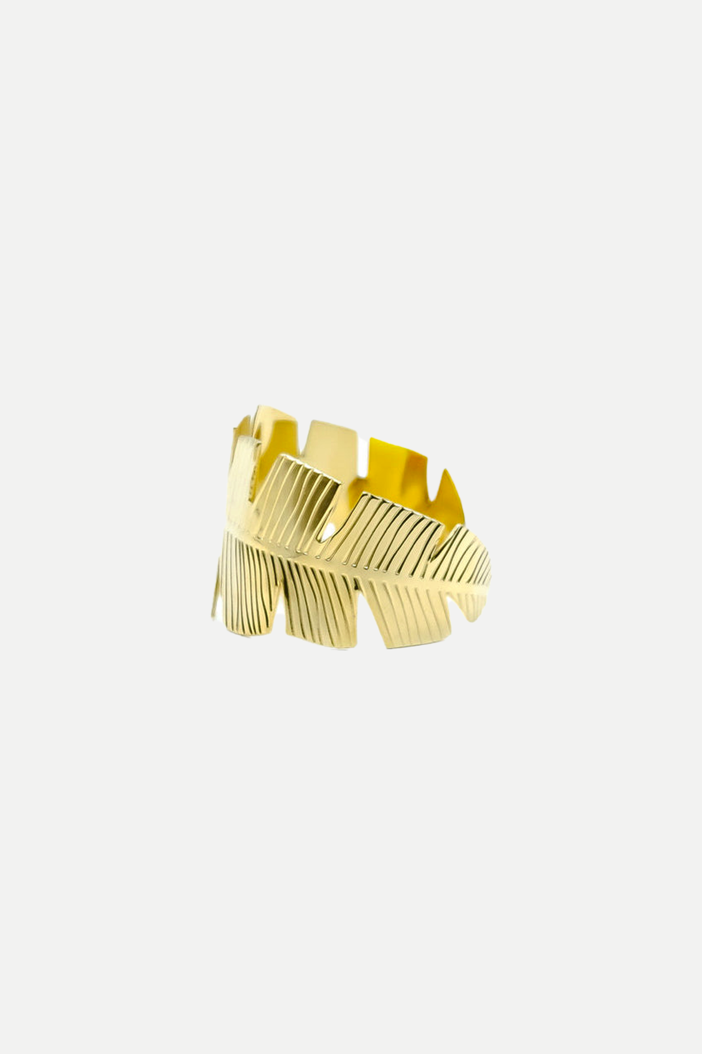 ‘Pluma Grande’ Rigid Bracelet
